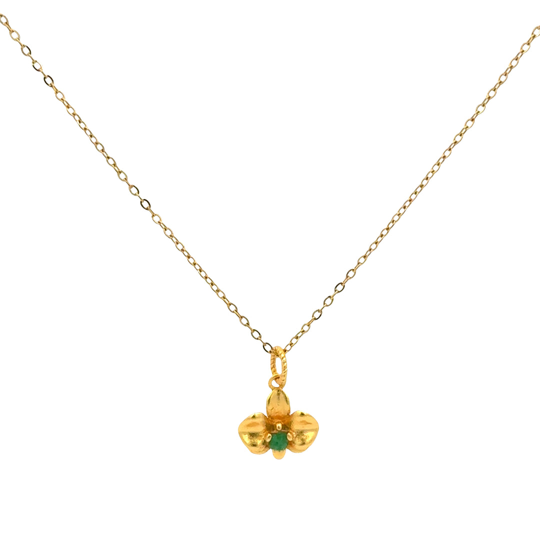 Orquídea Mágica
