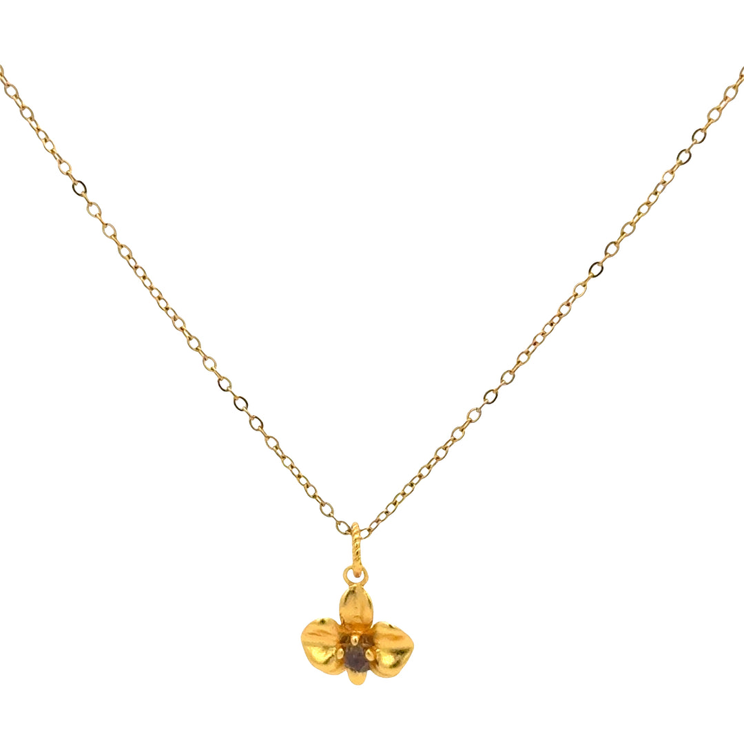 Orquídea Mágica