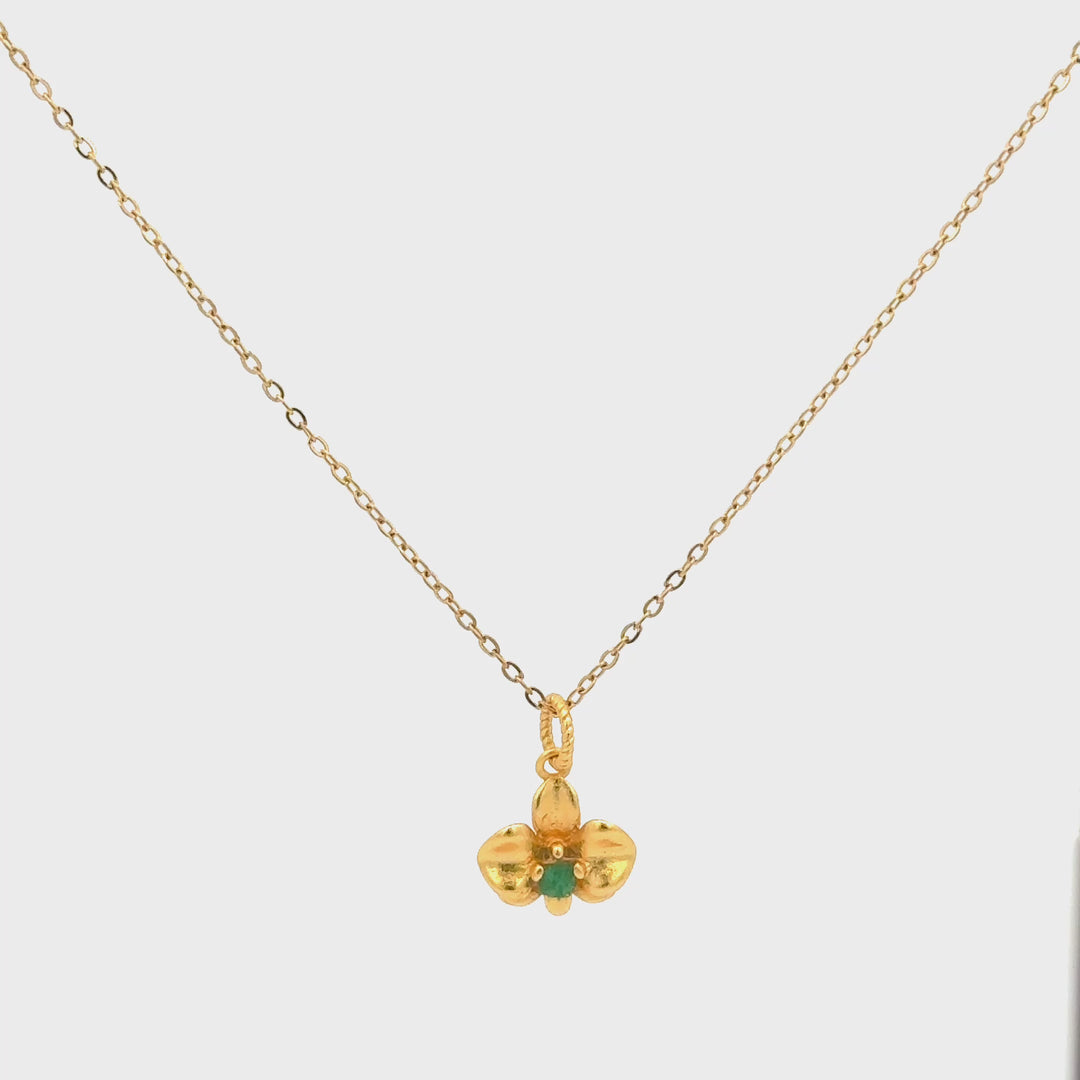 Orquídea Mágica